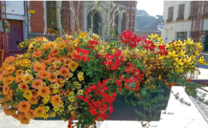 Écologie et Environnement 1